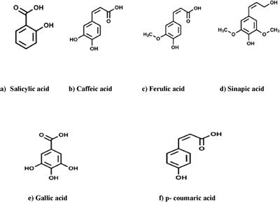 Exploring waste utilization potential: nutritional, functional and medicinal properties of oilseed cakes